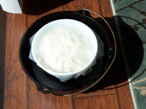 The flour, water, and yeast mix ready to turn into sponge.