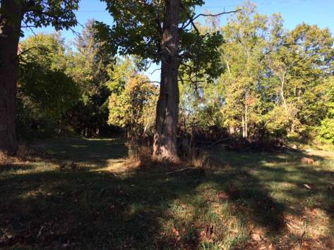 gma small homestead 2